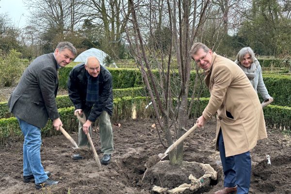 Eine neue Kirsche fürs Arboretum Stegner bei